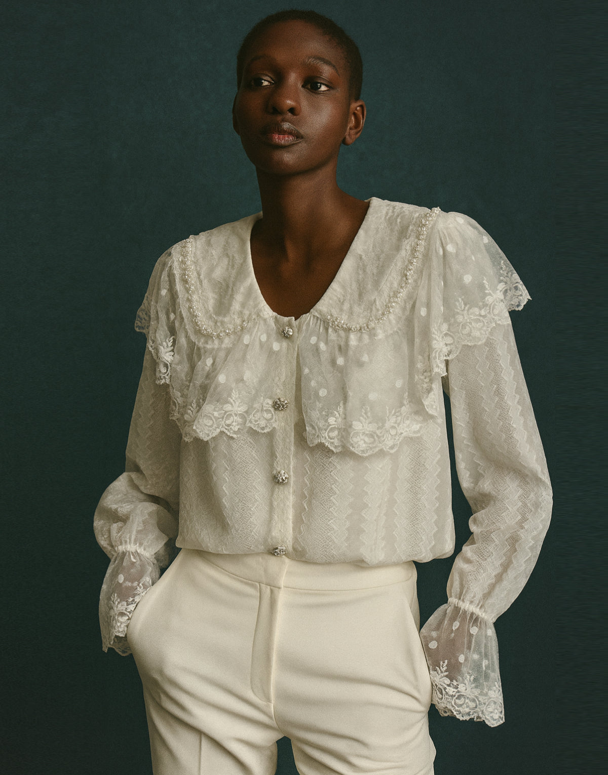 Embroidered Lace Yoke Blouse