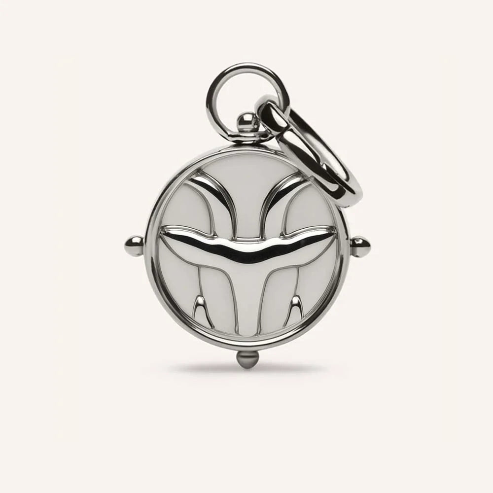 Zodiac Double-Sided Charms