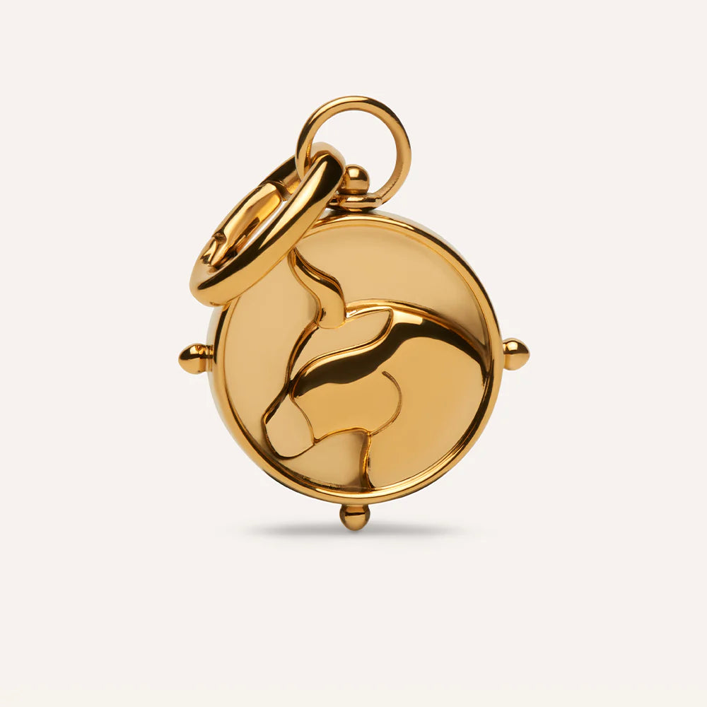 Zodiac Double-Sided Charms